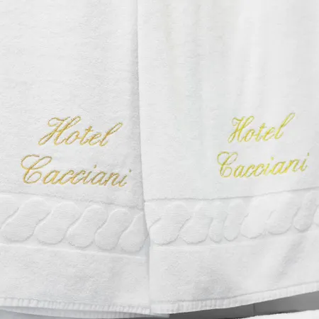 Ξενοδοχείο Cacciani 3*