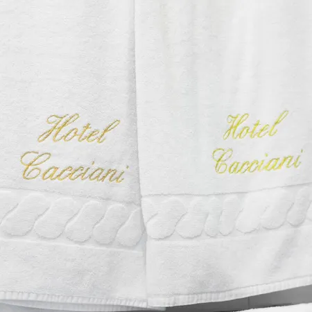 Hotel Cacciani 3*